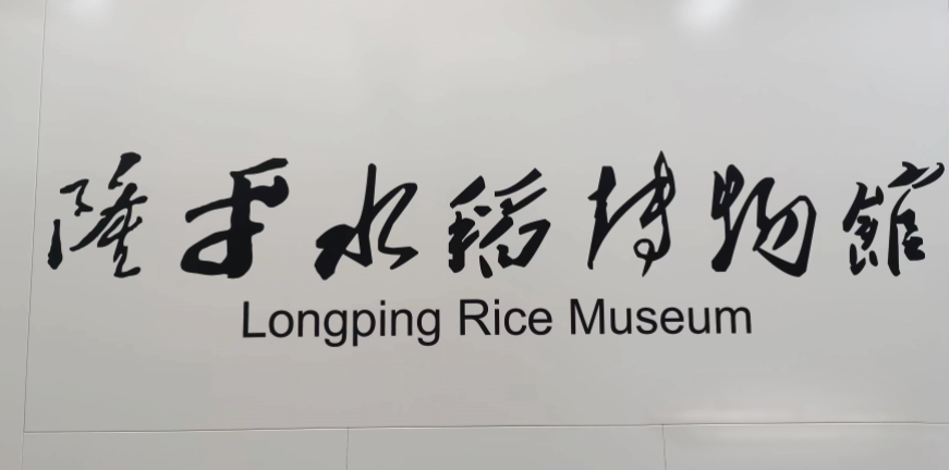 長沙地鐵6號(hào)線